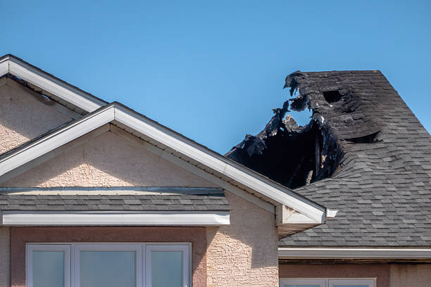 Top rated local Fire Damage Removal specialists in Conshohocken, PA